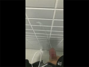 【Twitterゲイ動画】大学のキレイなトイレでカリ首を皮オナで刺激し壁に特濃ザーメンをぶっかける大学生！